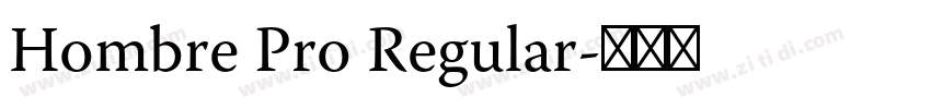 Hombre Pro Regular字体转换